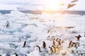 Penguins standing on melting glacier in sea