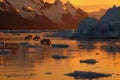 Penguins Waddling on Icy Shoreline at Sunset