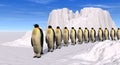 Penguins walking