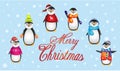 Penguins in warm clothes, Christmas Penguin Royalty Free Stock Photo