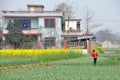 Pengzhou, China: Blue Tiled Farmhouse and Crops