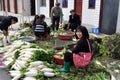 Pengzhou, China: Farm Family Washing Radishes