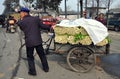 Pengzhou, China: Farmer with Cart of Celery