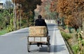 Pengzhou, China: Farmer Pedalling on Country Road