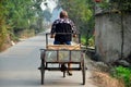 Pengzhou, China:Farmer Peddles his Bicycle Cart along Country Road