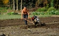 Pengzhou, China: Farmer Ploughing Field