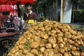 Pengzhou, China: Farmer Selling Di Gua Tubers Royalty Free Stock Photo