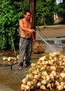 Pengzhou, China: Farmer Washing Vegetables