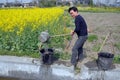 Pengzhou, China: Farmer with Water Buckets Royalty Free Stock Photo