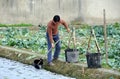 Pengzhou, China: Farmer Watering Seedlings