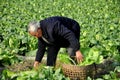 Pengzhou, China: Farmer Working in Field