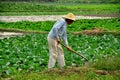 Pengzhou, China: Farmer Working in Field Royalty Free Stock Photo