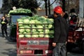 Pengzhou, China: Farmers with Cabbages Royalty Free Stock Photo