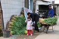 Pengzhou, China: Farmers with Garlic