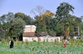 Pengzhou, China: Pastorale Farm Scene