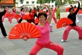Pengzhou, China: Tai 'Chi Exercise Class Royalty Free Stock Photo