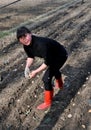 Pengzhou, China: Woman Planting Potatoes