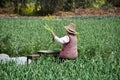 Pengzhou, China: Woman Sorting Garlic