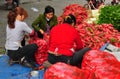 Pengzhou, China: Women Bagging Radishes Royalty Free Stock Photo