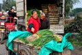 Pengzhou, China: Workers Loading Green Onions onto Truck