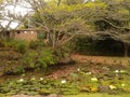 Penhasco Dois IrmÃÂ£os Park Administration building, Lake, tree and Lotus Flowers.