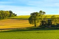 Field of sown barley