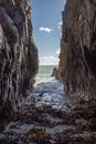 The Peninsula of Howth Head, Dublin, Dublin County, Seashore of cliffs, bays and rocks landscape, Ireland Royalty Free Stock Photo