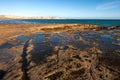 Peninsula Valdes, Argentina