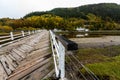 Penmaenpool toll bridge, evening