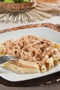 Penne with Chicken Sauce. Royalty Free Stock Photo