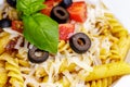 Penne and fusilli pasta with tomatoes, olive, parmesan and basil Royalty Free Stock Photo