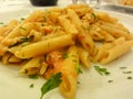 Penne a la Vodka on Plate