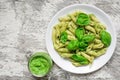 Penne pasta with basil pesto and herbs Royalty Free Stock Photo