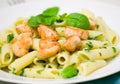 Penne pasta with chicken breast and pesto sauce Royalty Free Stock Photo