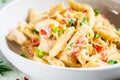 Penne pasta with chicken, pepper and green onions in creamy sauce in a white plate, gray background