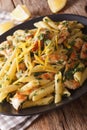 Penne pasta with grilled chicken, greens and lemon sauce close-up. vertical Royalty Free Stock Photo