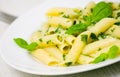 Penne pasta with pesto sauce Royalty Free Stock Photo