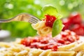 Penne pasta with tomato sauce and green basil on a fork Royalty Free Stock Photo