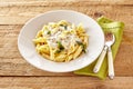 Penne pasta topped with a creamy formaggio savory sauce