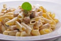 Penne pasta with white sauce Royalty Free Stock Photo