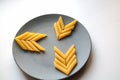 Penne rigate pasta arrow symbols on plate