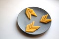 Penne rigate pasta direction arrows on plate