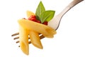 Penne rigate pasta with tomato sauce and basil on a fork Royalty Free Stock Photo