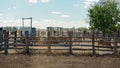 Penned Australian Livestock Royalty Free Stock Photo