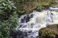 Pennell Falls at Bushkill Falls