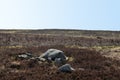 Pennine moorland landscape with large old boulders and stones on midgley moor in west yorkshire Royalty Free Stock Photo