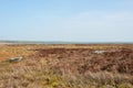 Pennine moorland landscape with large old boulders and stones on midgley moor in west yorkshire Royalty Free Stock Photo
