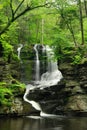 Pennsylania Waterfall In Spring