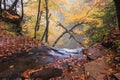 Pennsylvania Autumn Leaves Top of Ganoga Waterfall Royalty Free Stock Photo