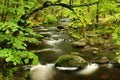 Pennsylvania Forest Stream Royalty Free Stock Photo